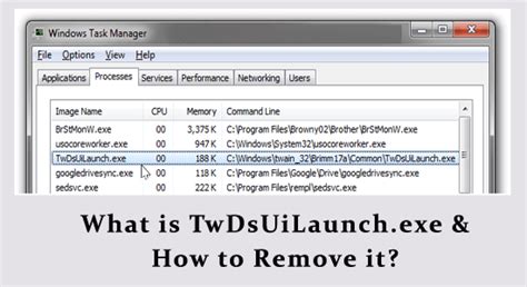 twdsuilaunch|TwDsUiLaunch.exe Processo Windows